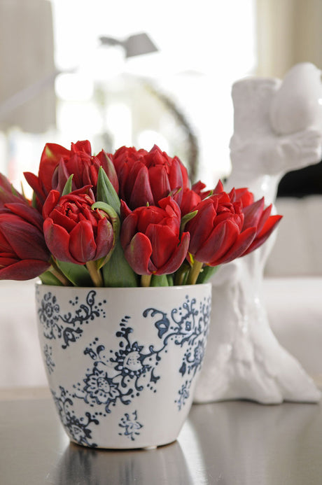 Alla hjĂ€rtans dag tulpaner: dubbelblommande röda âAbbaâ i Odd Romance-trenden â svensk inspiration för tulpanbuketter frĂ„n Tulpanguiden och BlomsterfrĂ€mjandet