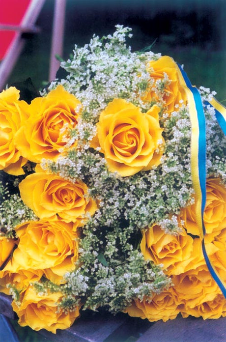 Examensbukett i blått och gult med band och studentpynt – svensk tradition vid examen och studentfirande, färdig bukett från blomsterbutik inslagen i cellofan och vått papper.