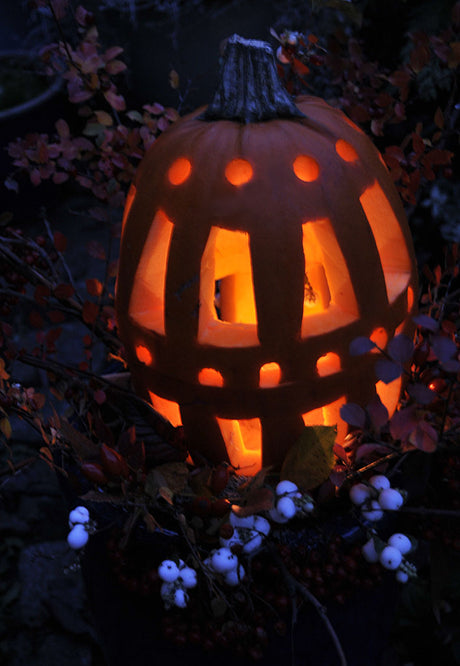 Neutral pumpalykta för hela hösten med runda hål gjorda med äppleavkärnare – dekorativa pumpamönster för Halloween och höstpynt.
