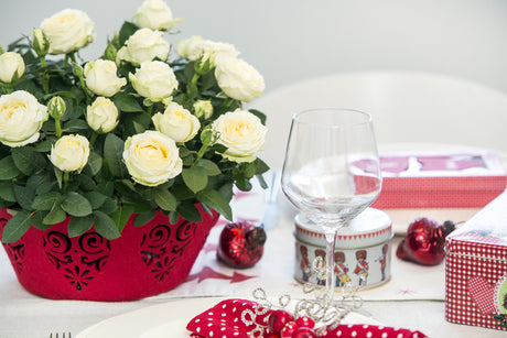 Julens rosor – krispigt vita, snöbollsliknande rosor med lång hållbarhet för vintern och jul, vackra i blomsterarrangemang och som snittblommor, kan planteras ut i trädgården till våren.