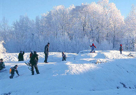 Snötäckt kalkbacke i januari – nordisk vinter och Tors månad; tid för planering av frösådder, tulpaner och vårlök inomhus, matning av småfåglar samt skötsel av växthus och rumsväxter.