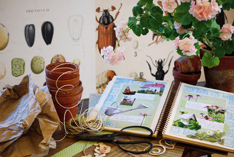 Trädgårdsscrapbook med foton, pressade blad och blommor, vackra papper och snören – dokumentera trädgården med kamera, dagbok om väder, växtplatser, skötsel och planer för nästa odlingssäsong.