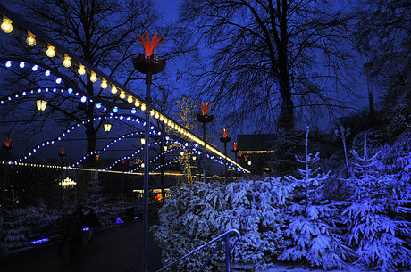 Jul på Liseberg i Göteborg – snöklädda träd och konstgjord snö vid entrén, juleljus och Lisebergstornet som gigantisk julgran under invigningen av julmarknaden med fyrverkerier