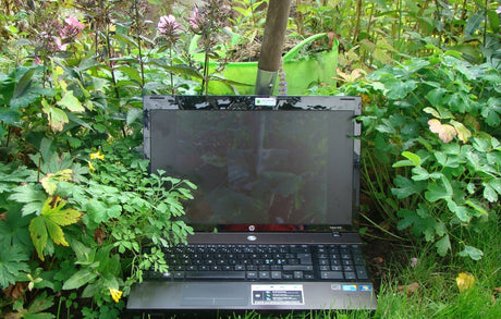 Trädgårdsliv på internet: blommor, grönsaker och träd i en privat trädgård – inspiration, gemenskap, kreativitet samt design och planering året runt för hobbyträdgårdsmästare via bloggar, forum och sociala medier.