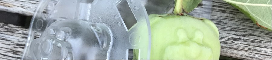Fruktformar