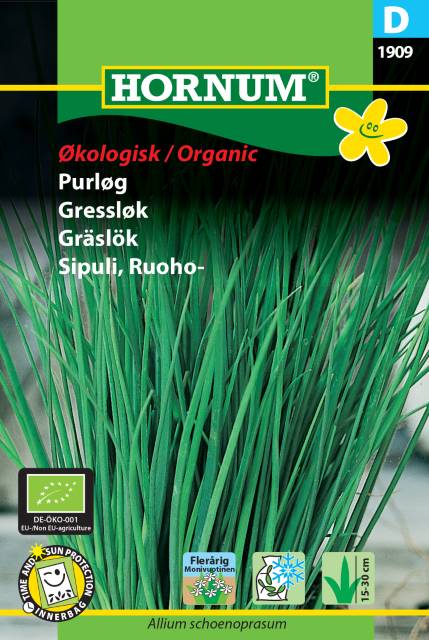 GrÀslök 'Polyvert' / 'Medium Leaf' EKO