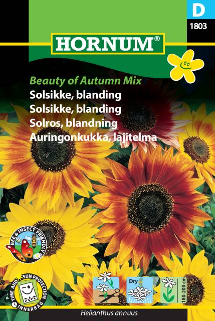 Solros Mix 'Beauty of Autumn' frö