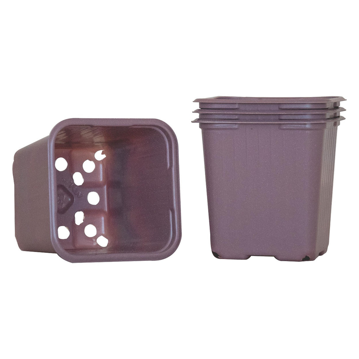 Planteringskruka 8cm, Syrénlila 20st