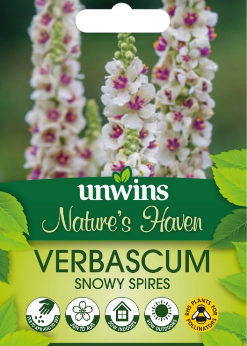 Kungsljus 'Snowy Spires'