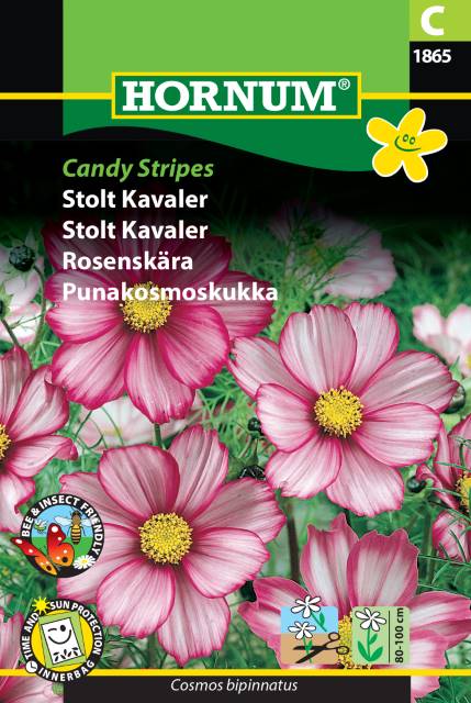 Rosenskära 'Candy Stripes' frö