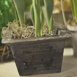 Träkruka, Mörk 15*18H