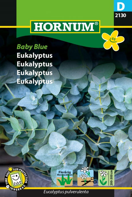 Eucalyptus 'Baby Blue', frö