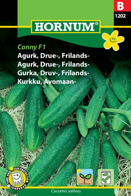 Frilandsgurka 'Conny' F1 frö