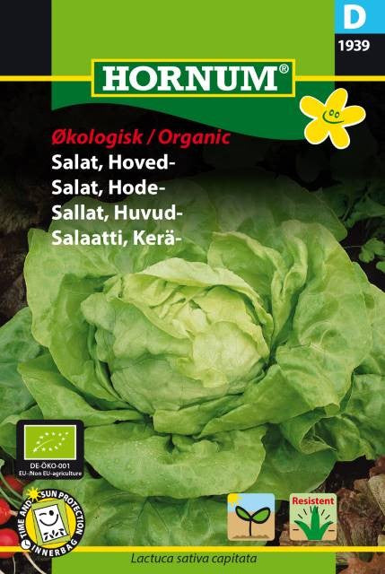 Huvudsallat 'Attraktion' v