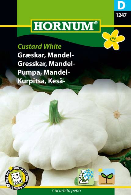 Mandelpumpa 'Custard White' frö