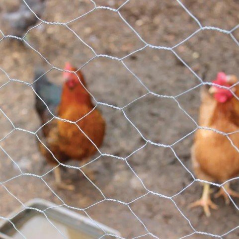 Hönsnät 13mm L10mxH0,6m