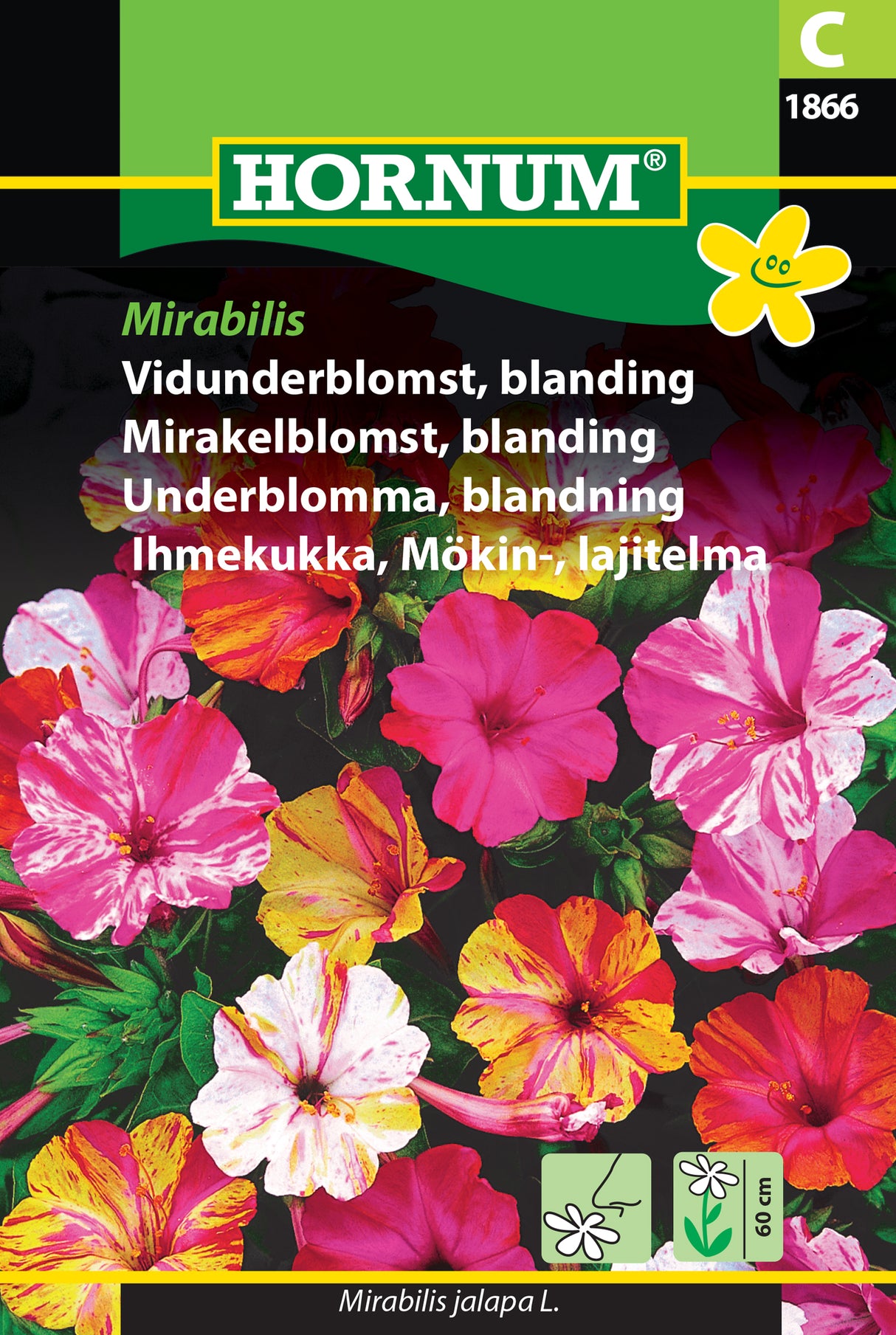 Underblomma Mix 'Mirabilis' frö