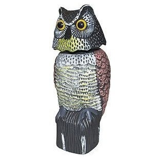 FÄgelskrÀmma Uggla 40 cm