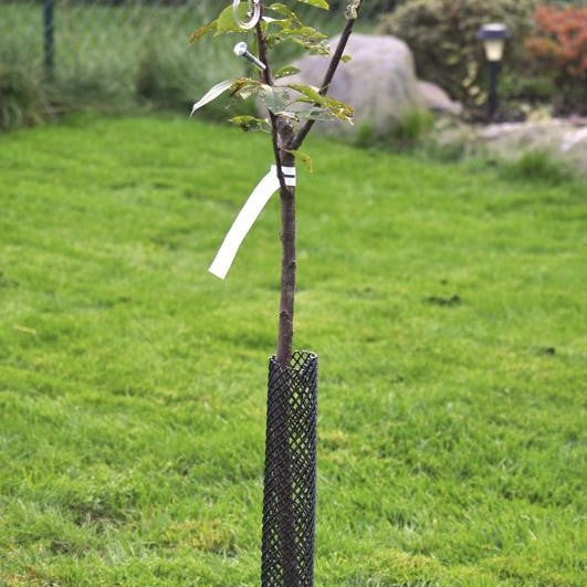 Weibulls Gnagskydd 58cm - Svart