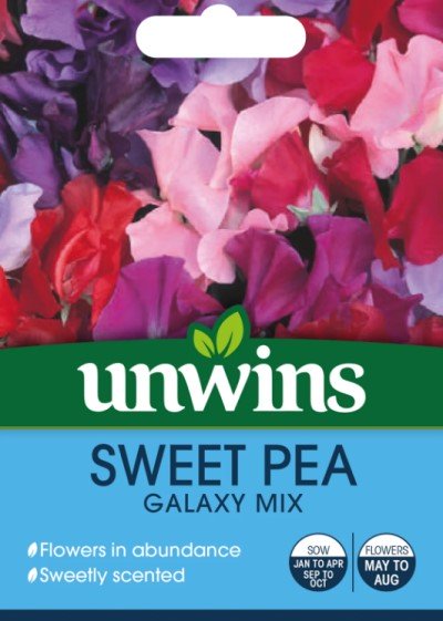 Luktärt 'Galaxy' Mix