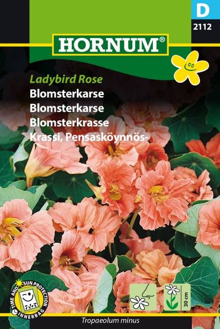 DvÀrgkrasse 'Ladybird Rose'