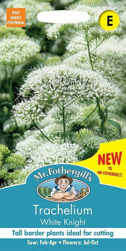 Sommarhalsört 'White Knight'