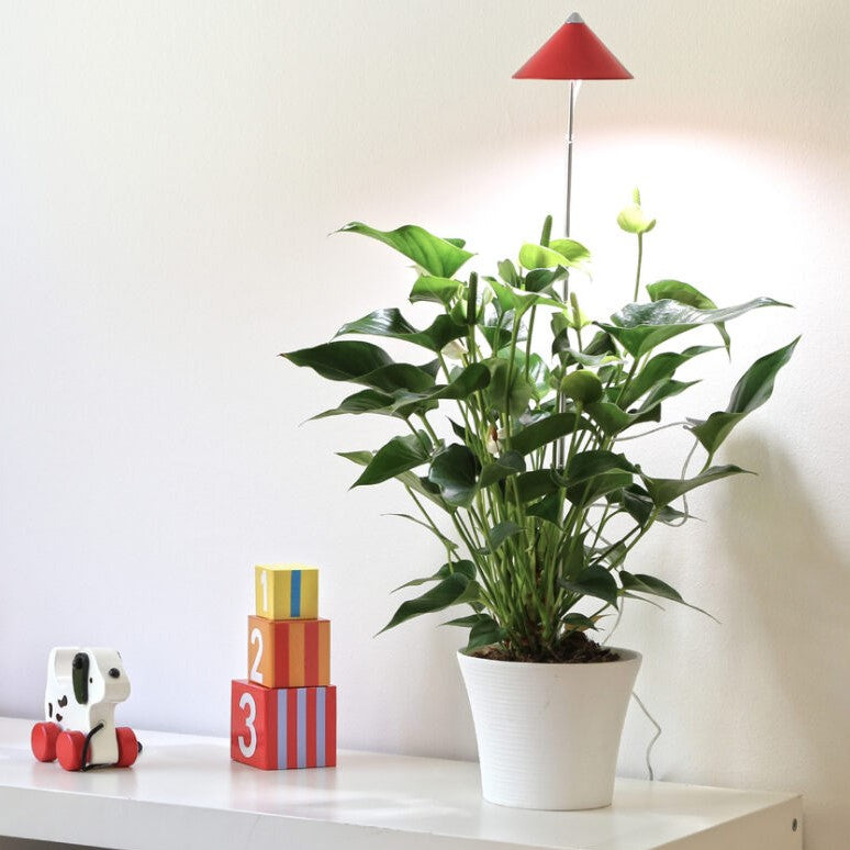 Sunlite växtlampa Röd - 7W