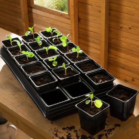 Krukset Fyrkantig med 18st 9cm planteringskrukor