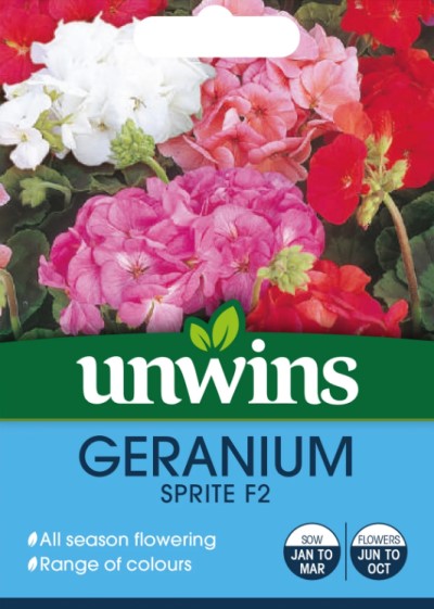 Pelargon 'Sprite' F2