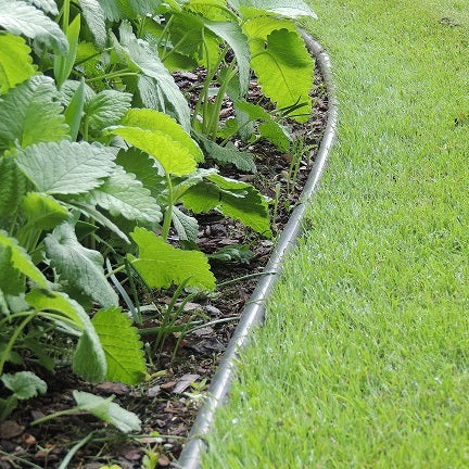 Rabattkant 'Hercules' 6 m