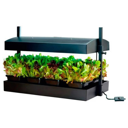 Växtbelysning 'Grow Light Garden' LED Black