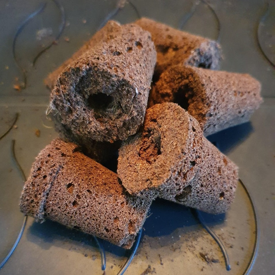 Odlingsplugg till Hydroponisk odling 'Harvy' - 14st