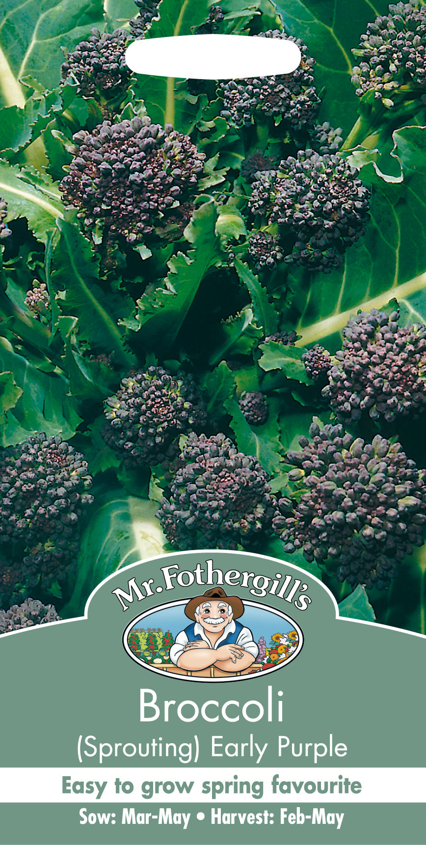 Broccoli 'Early Purple'