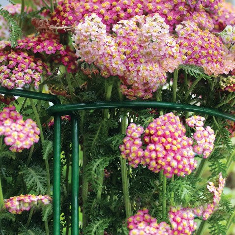 Buskstöd i Metall Grön 90cm - 2st