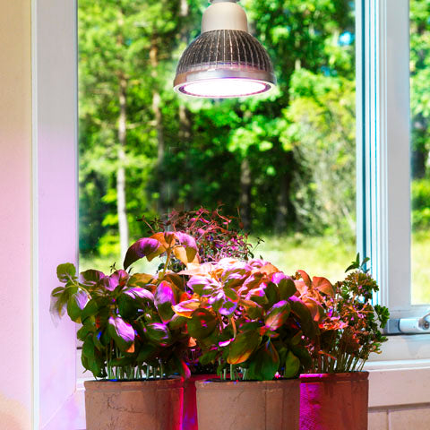 Växtlampa Odla 18W 60°