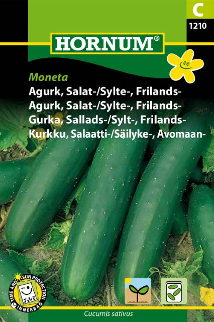 Frilandsgurka 'Moneta' frö