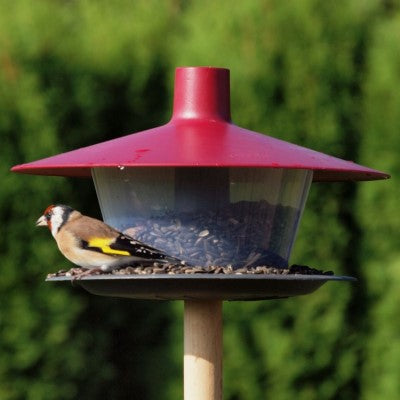 Foderautomat 'Finch' Wine red