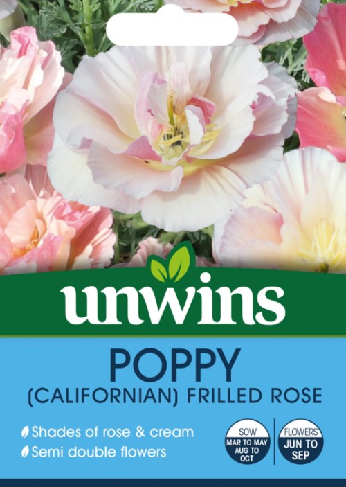 Sömntuta 'Frilled Rose'