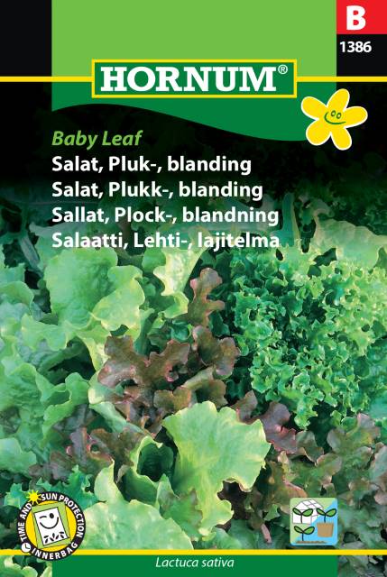 Plocksallat Mix 'Baby Leaf' frö