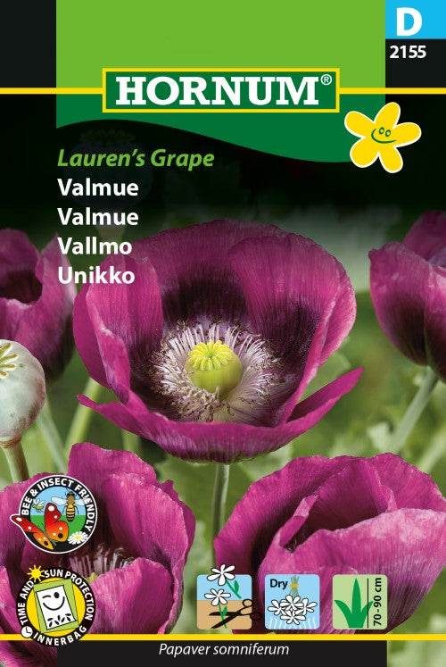 Pionvallmo 'Laurens Grape'
