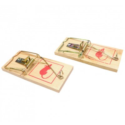 Green IT MusfÀlla i TrÀ 2-p