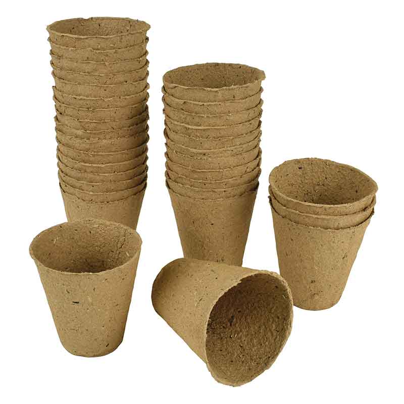 Fiberkruka Rund 6cm 24-pack