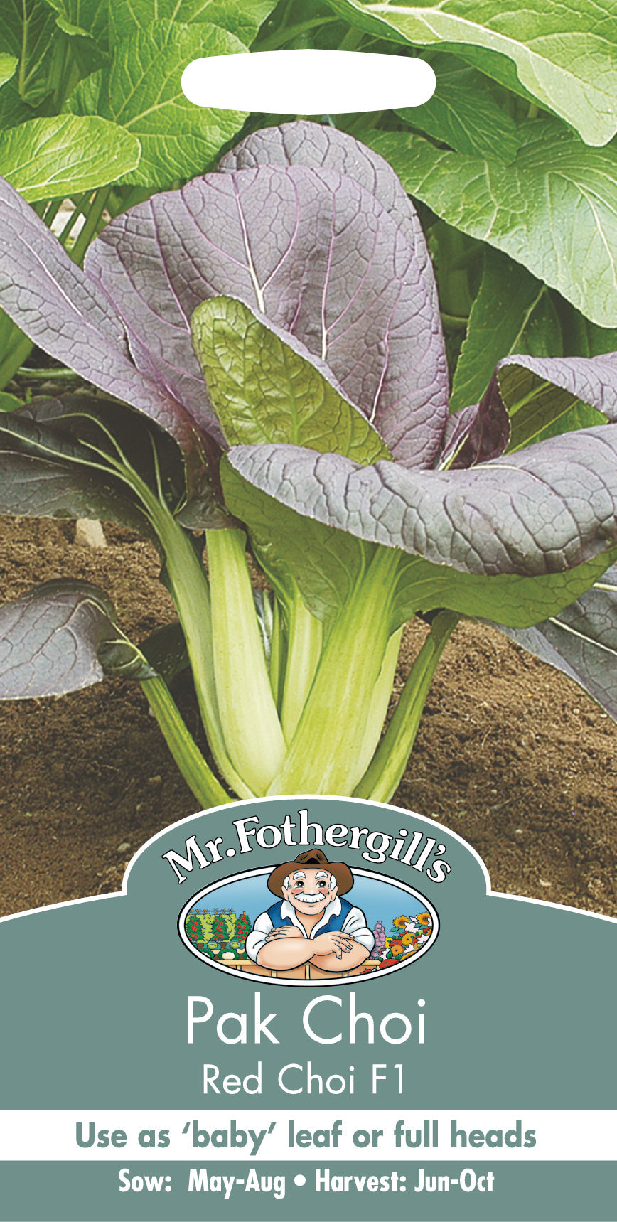 Pak Choi 'Red Choi' F1