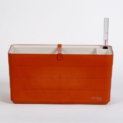 Odlingslåda 'Berberis 40' Terracotta