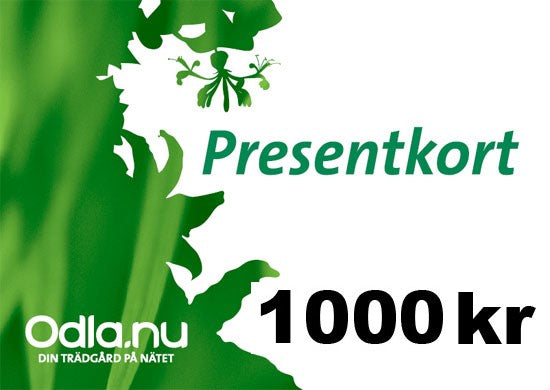 Presentkort 1000
