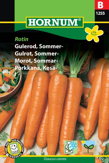 Sommarmorot 'Rotin' frö