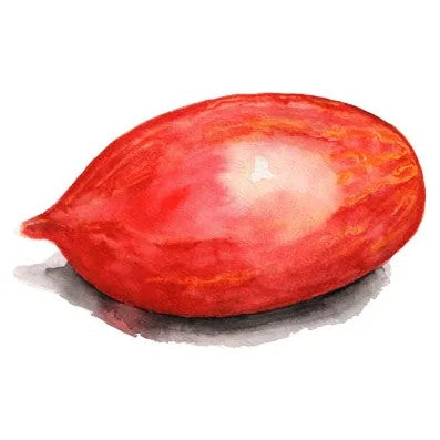 Tomat 'Marmorossa' Svenskodlat frö