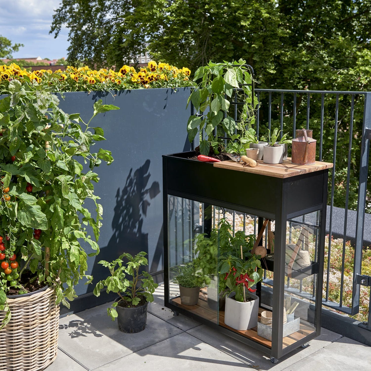 Odlingsskåp 'Vertical' Härdat glas