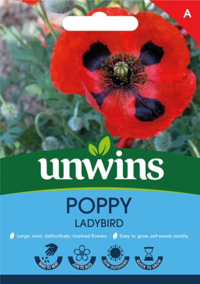 FlÀckvallmo 'Ladybird'