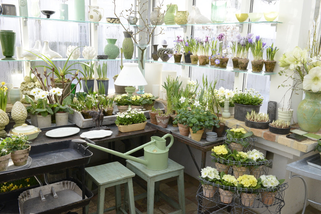 Claus Dalby and his greenhouse life: Danish gardener’s greenhouse philosophy, three heated greenhouses (50, 40, 30 m²), 200 summer flower varieties, tomatoes in pots, social space, Mit haveliv